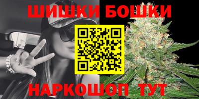 дмт Бийск