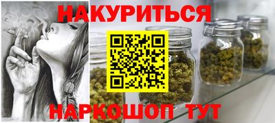 дмт Бийск